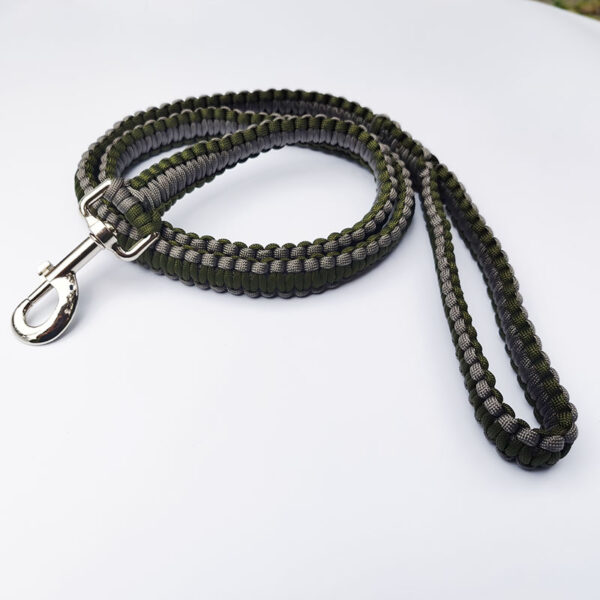 pet leash