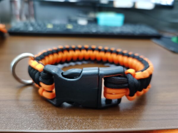 pet leash - 图片 3