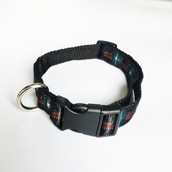pet leash - 图片 2